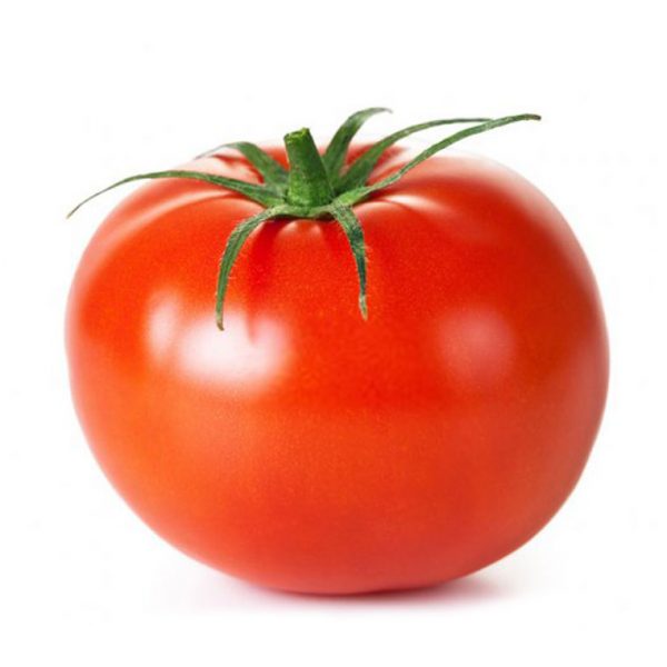 Tomato
