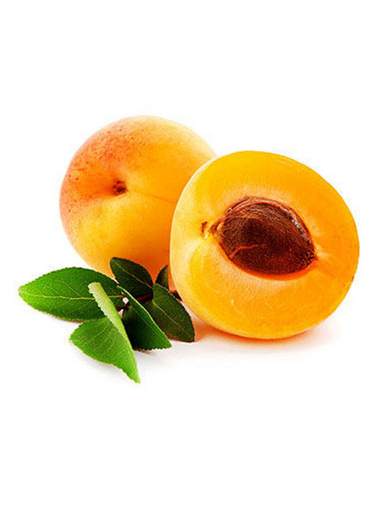 Apricot