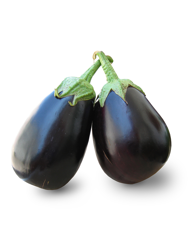 Eggplant
